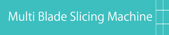 Multi Blade Slicing Machine